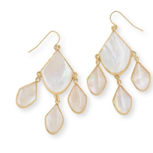 Premier Designs Jewelry - NWOT Premier Designs Luna earrings